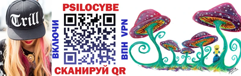 Псилоцибиновые грибы Cubensis  мориарти телеграм  Мосальск 